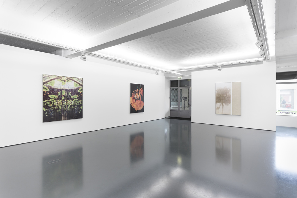 Installation view, Diogo Evangelista, A driver who indicates left and then turns right, Galeria Pedro Cera