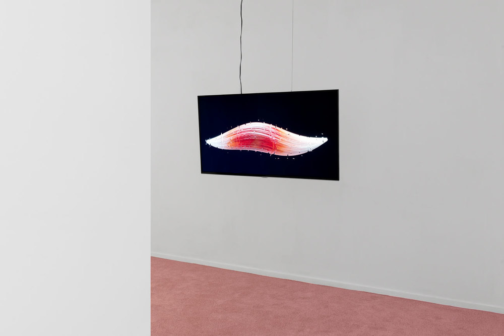 Installation view, Sarah-Jane Hoffmann, The Absent Body, Cinnnamon