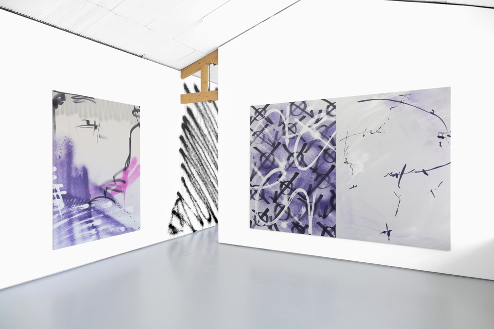 Installation view, Ziggy Grudzinskas, Cognitive Dissonance, Tristian Koenig