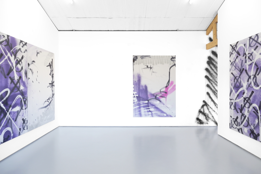 Installation view, Ziggy Grudzinskas, Cognitive Dissonance, Tristian Koenig