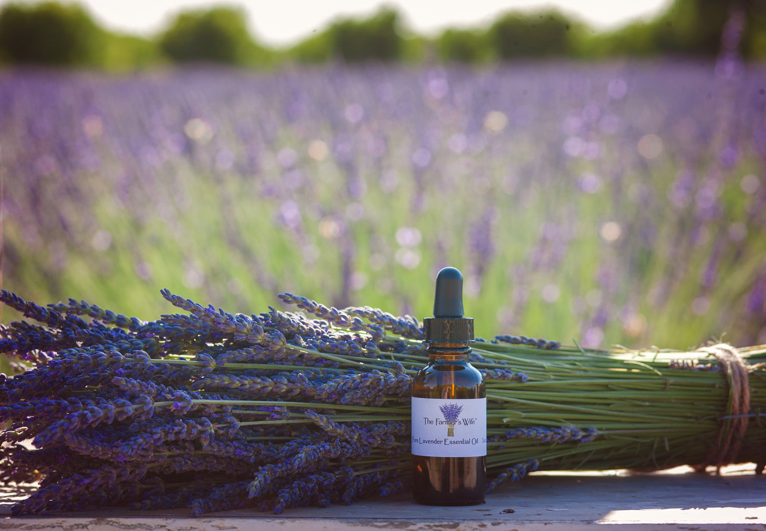 Pure Lavender Essential Oil — The Farmer's Wife Company