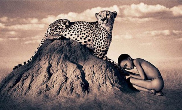 Nature-Masterpieces-leopard-gregory-colbert-saved-by-Chic-n-Cheap-Living