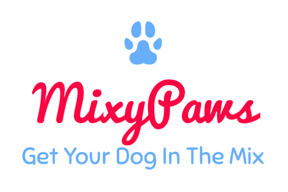 MixyPaws NYC Dog Walkers