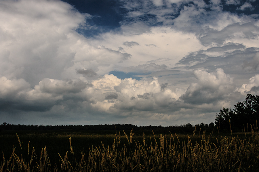 Clouds over the wetlands
