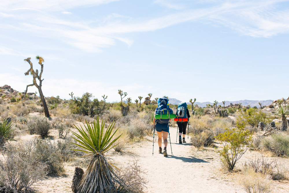 Joshua Tree Backpacking with Shoestring Adventures