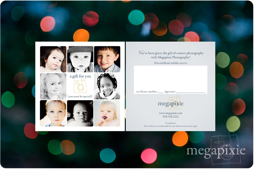 Raleigh Photography Gift Certificates