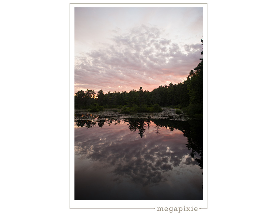 Lilypond Maine Landscapes Photographer