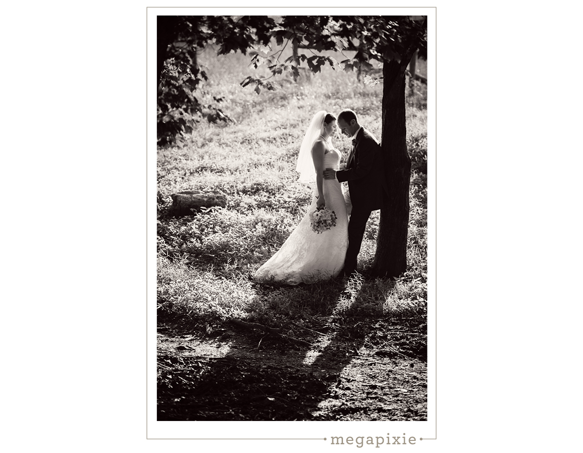 Elodie Farms Wedding Photographer