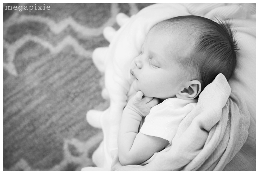 Hillsborough-Newborn-Photography