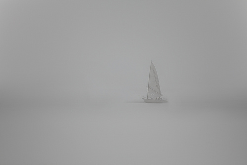 Monterey Fog