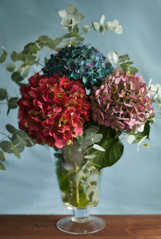 Flowers image via Shutterstock