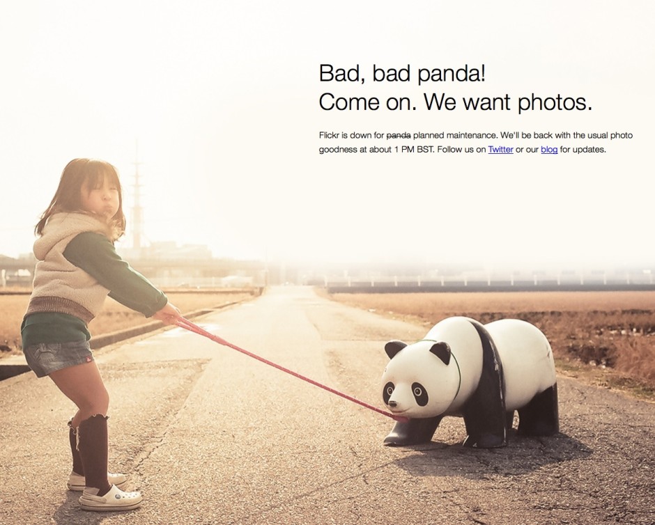 Bad panda. 