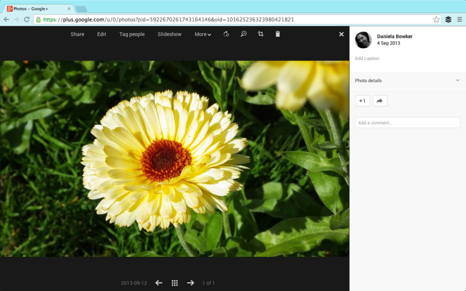 The 'Edit' button should be appearing on a G+ screen near you soon