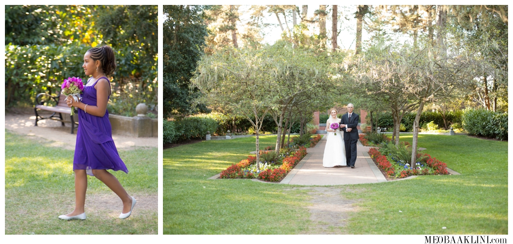San Francisco Shakespeare Garden Wedding Elopement Photographer_0012