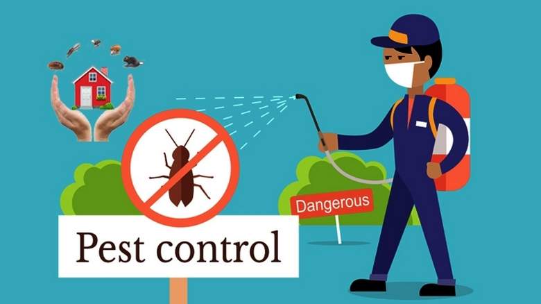 Commercial Pest Control In Boise
