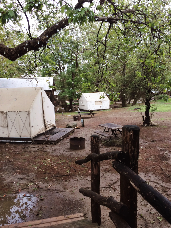 the view from my cabin door- yurts/tents! And rain. 