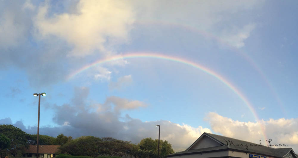 panorama of the double rainbow, full arches!