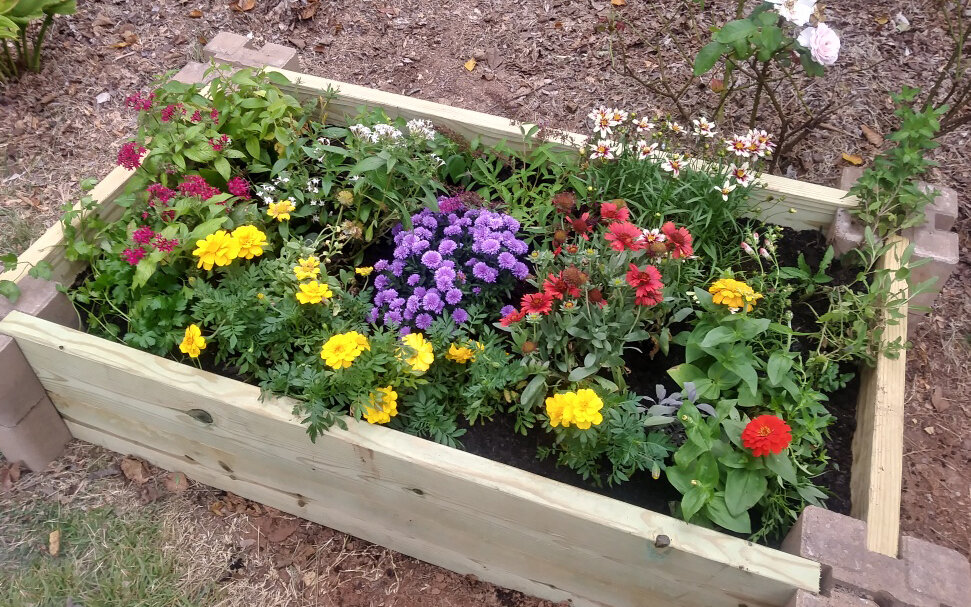 ‘BEE the Change’: Norcross Cluster schools host pollinators with new gardens — Communique