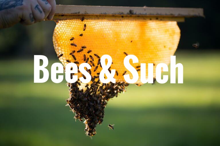 Bees and Such - Jennings Apiaries
