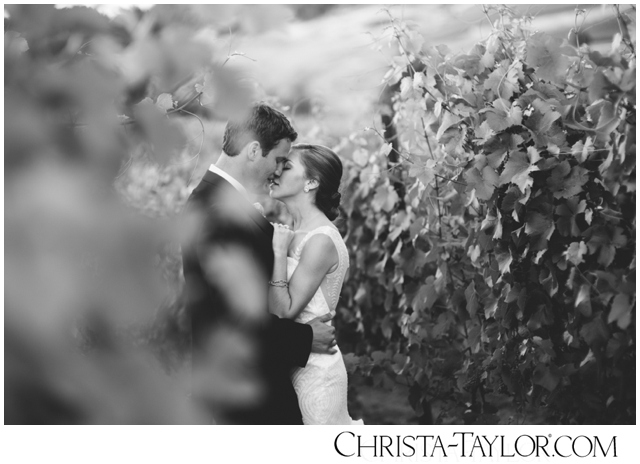 zenith vineyard wedding photo christa taylor_0146