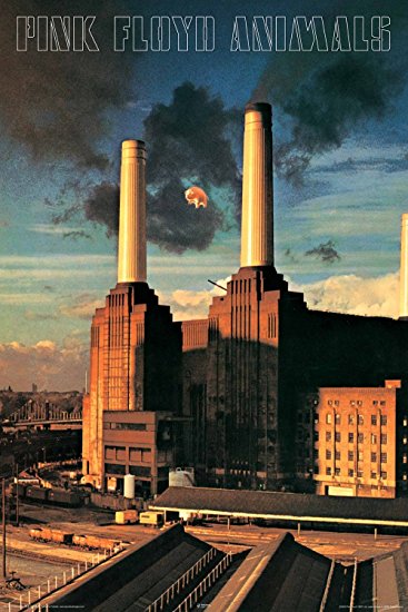 Searching Inside Pink Floyd's Album Animals — Drifter Merch