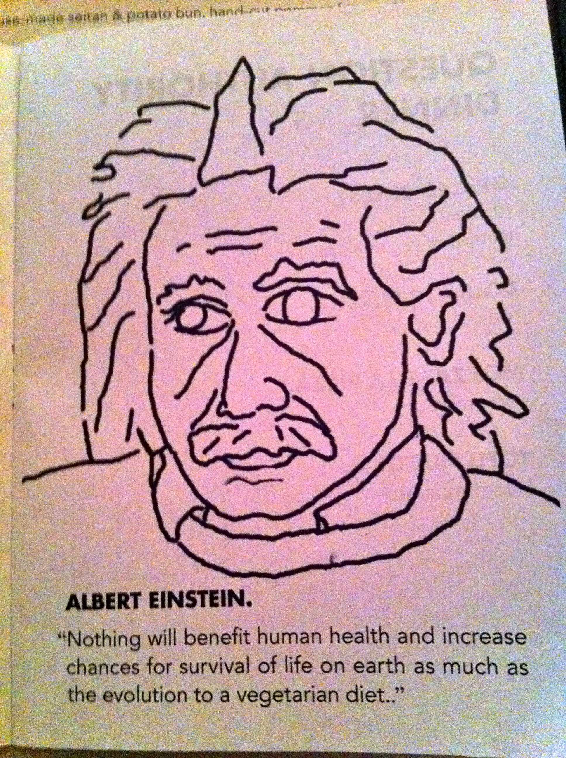 Einstein was a vegetarian, or a vegan!