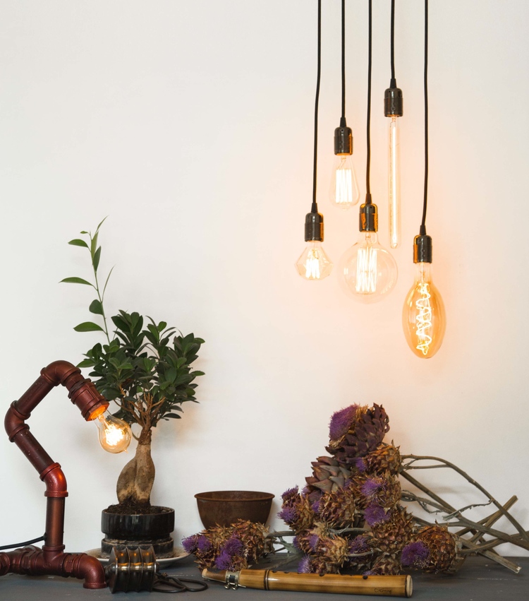 A sample of the fabulous range of lighting including lamps and bulbs from William & Watson.