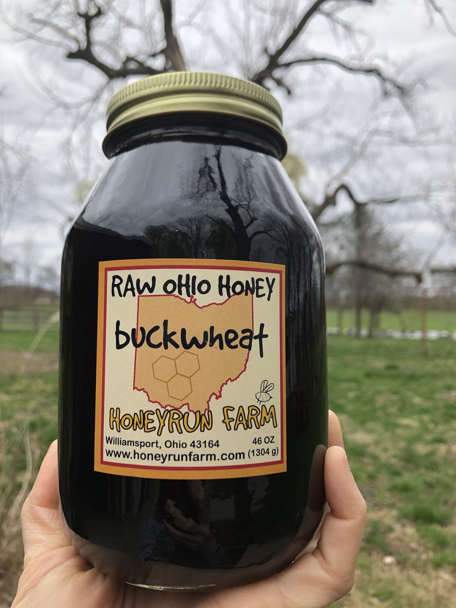 Buckwheat Honey Pure Raw Ohio Honey 46 Ounce Jar Honeyrun Farm,Feng Shui Bedroom Door