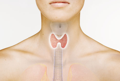 The Thyroid + Premature Gray Connection — Beauty Ecology