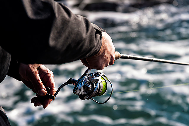 Daiwa Exceler 3000-HA spinning reel earlyish review (under £100) — Henry  Gilbey