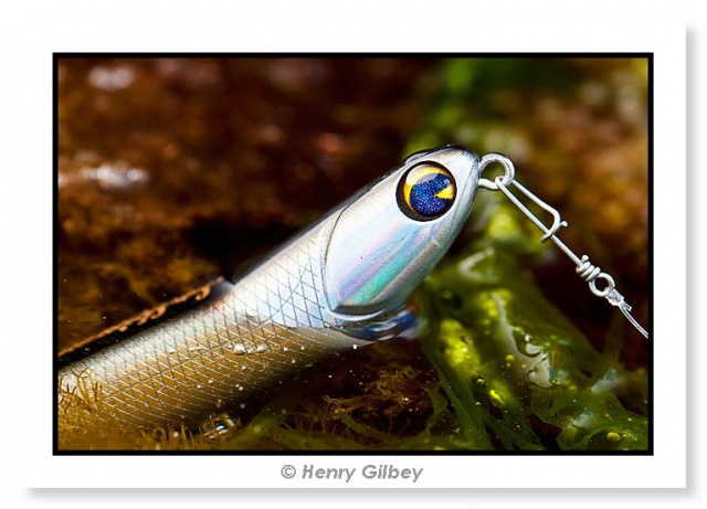 How important is the noise that a lure makes underwater ? — Henry Gilbey