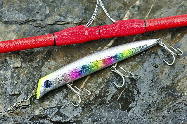 If you could take only one ultra-shallow diving hard lure bass
