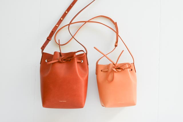 Mansur Gavriel Mini Mini Bucket Review and Mini Bucket Review — Fairly  Curated