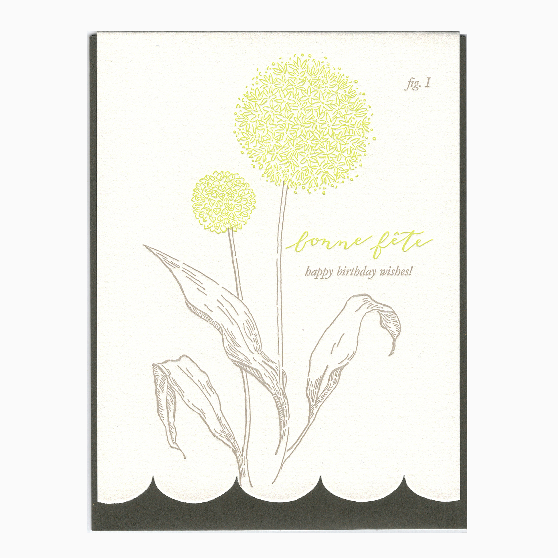 Cornwall Greetings/Birthday card Allium Meadow Card by St Ives 