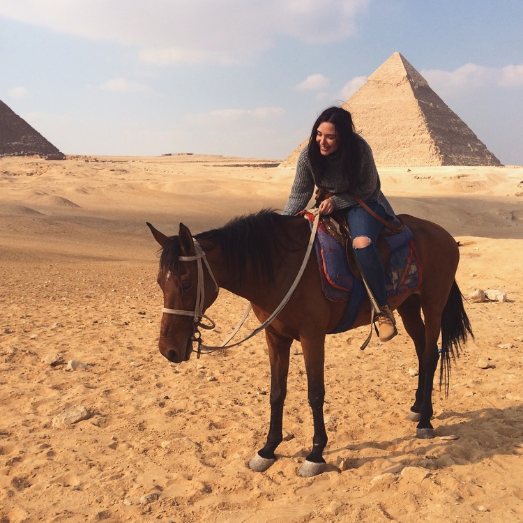 نتيجة بحث الصور عن ‪Trips to the pyramids horses‬‏