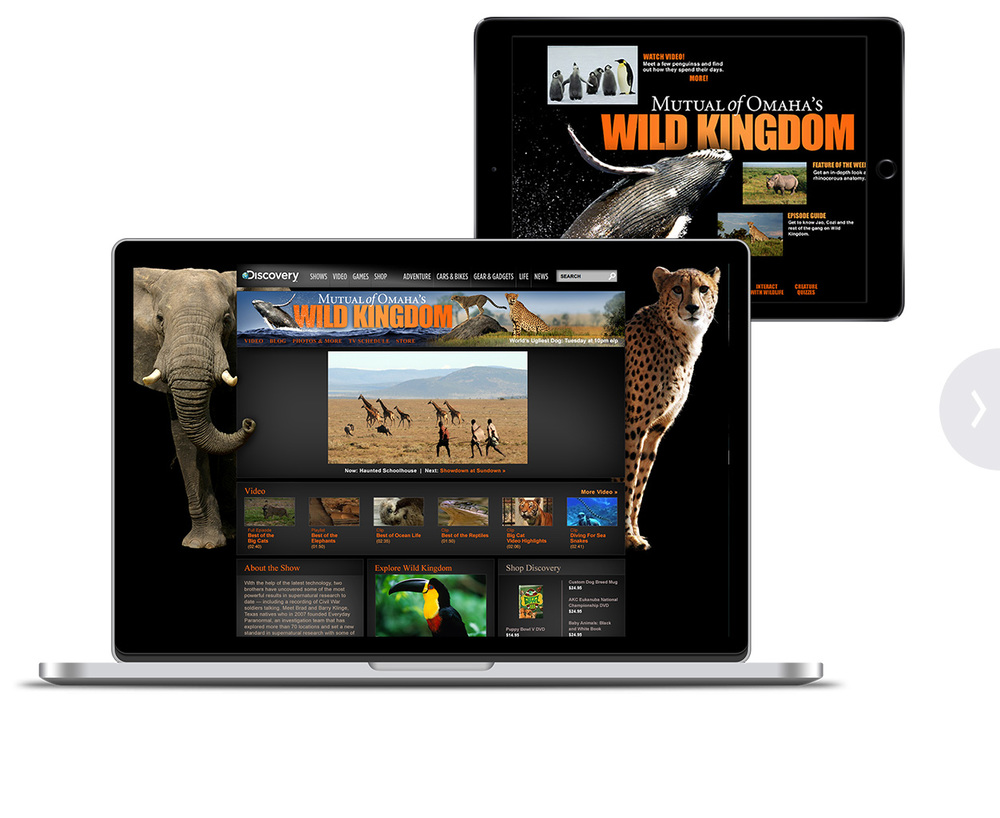 Animal Discovery Web