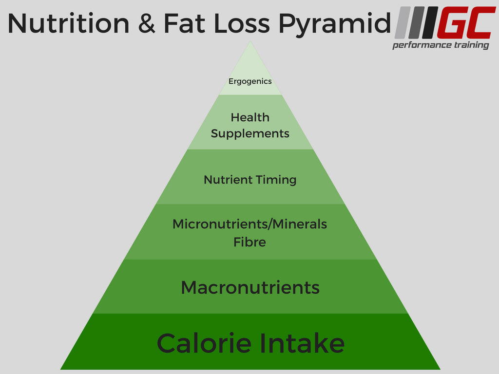 Nutrition+Pyramid.png?format=1500w