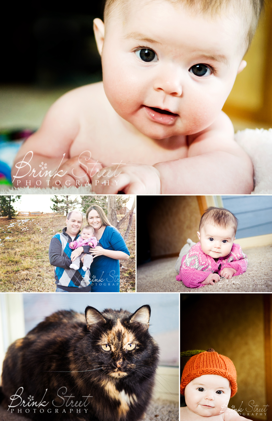 Fort Collins Baby Photographer