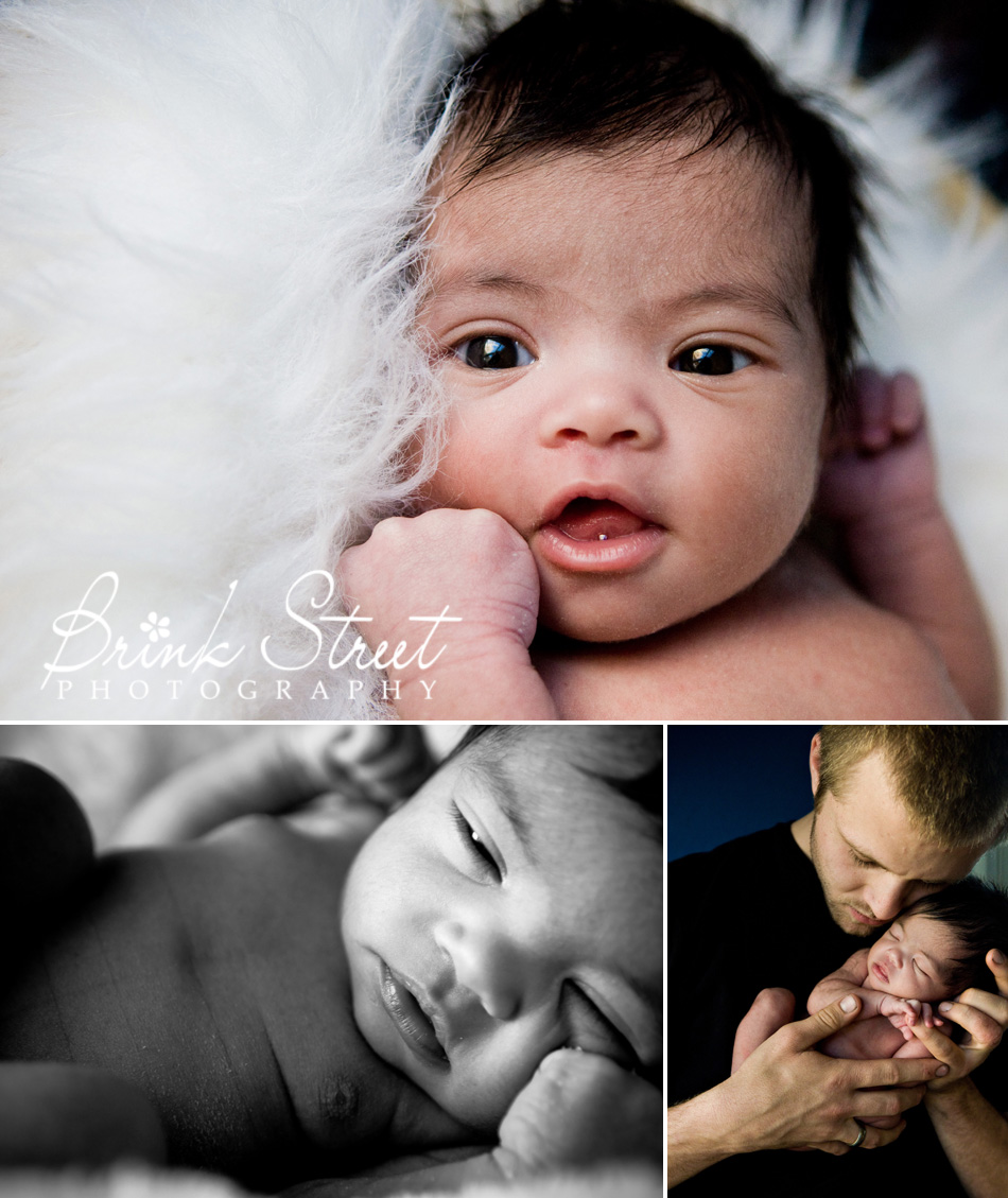 Stapleton Newborn Photographer