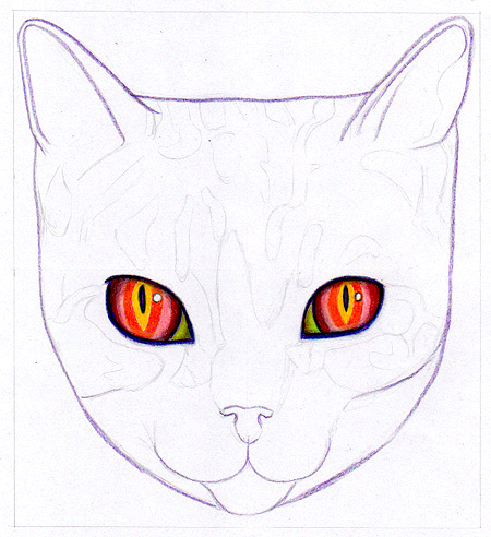 How to Draw a Cat: Learn How to Create a Unique Colorful Cat Drawing