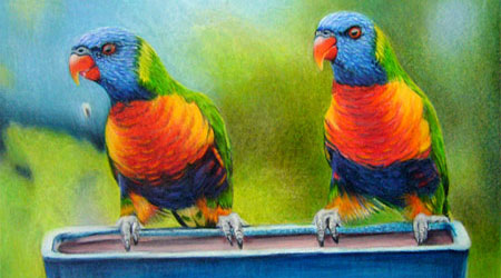 Colored Pencil Art: Colored Pencil Instruction and ...