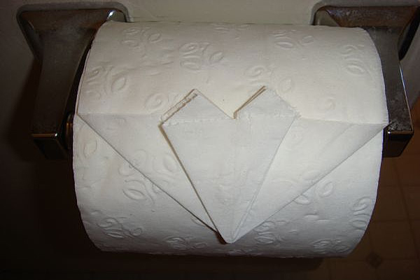 Toilet Paper Fold