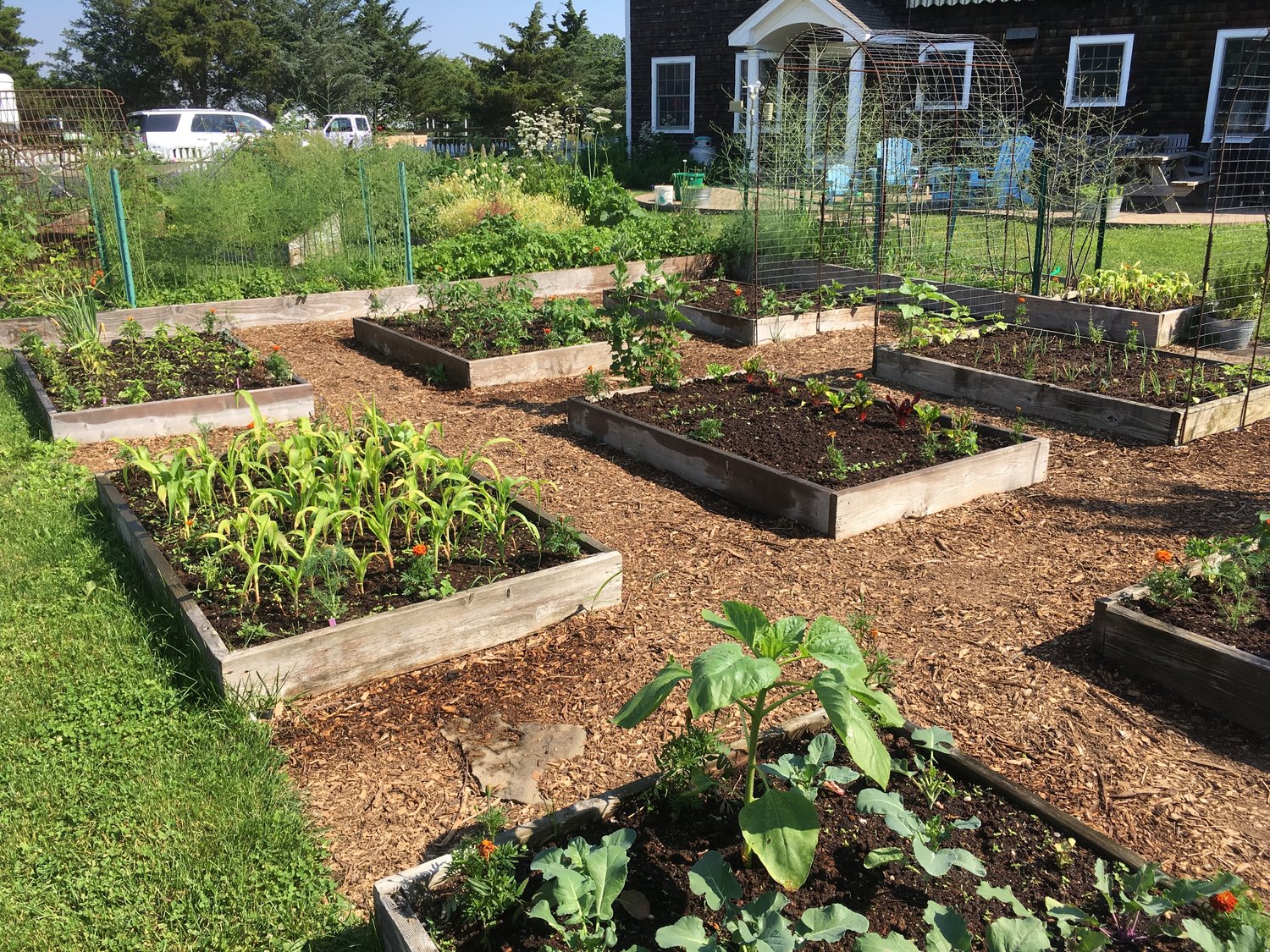Walk and Talk: Raised Bed Kitchen Garden — Herricks Herbs & Heirlooms