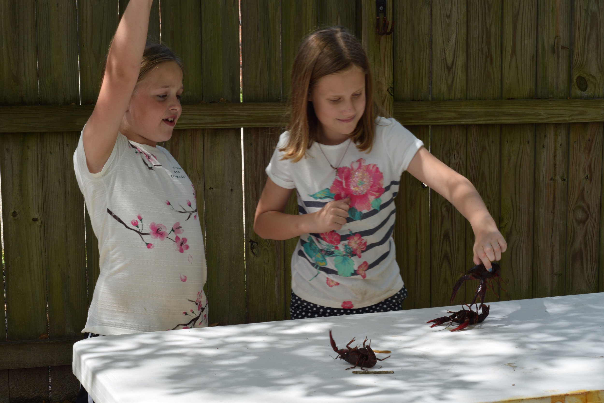 photo by emily reeves dean of kids playing with crawfish