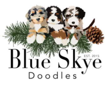 Playpen Training A New Puppy — Blue Skye Doodles