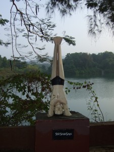 yoga helps to see life from a different perspective
