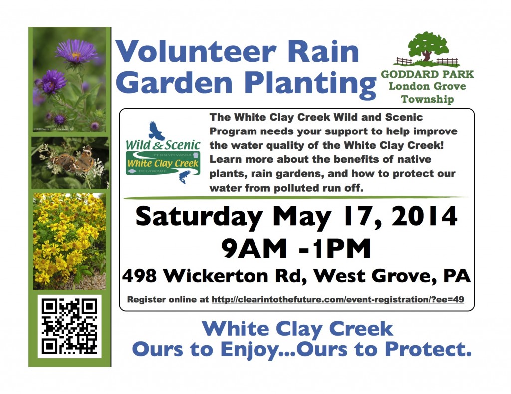 volunteer rain garden planting