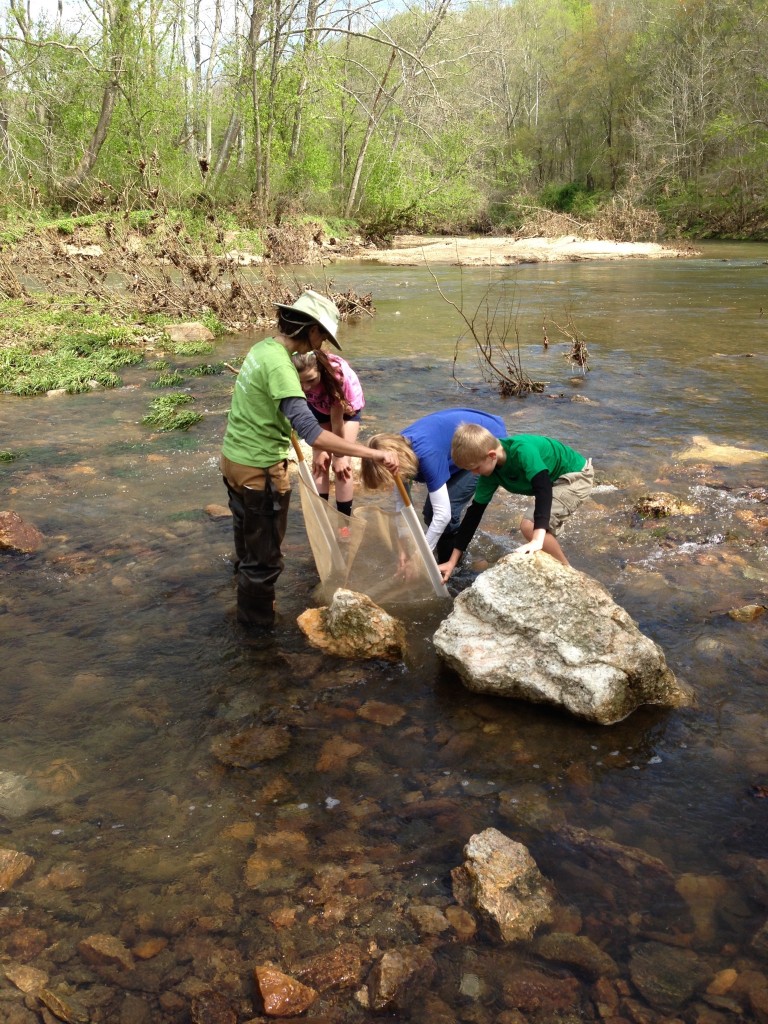creek fest stream study 2014