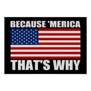 Because merica thats why