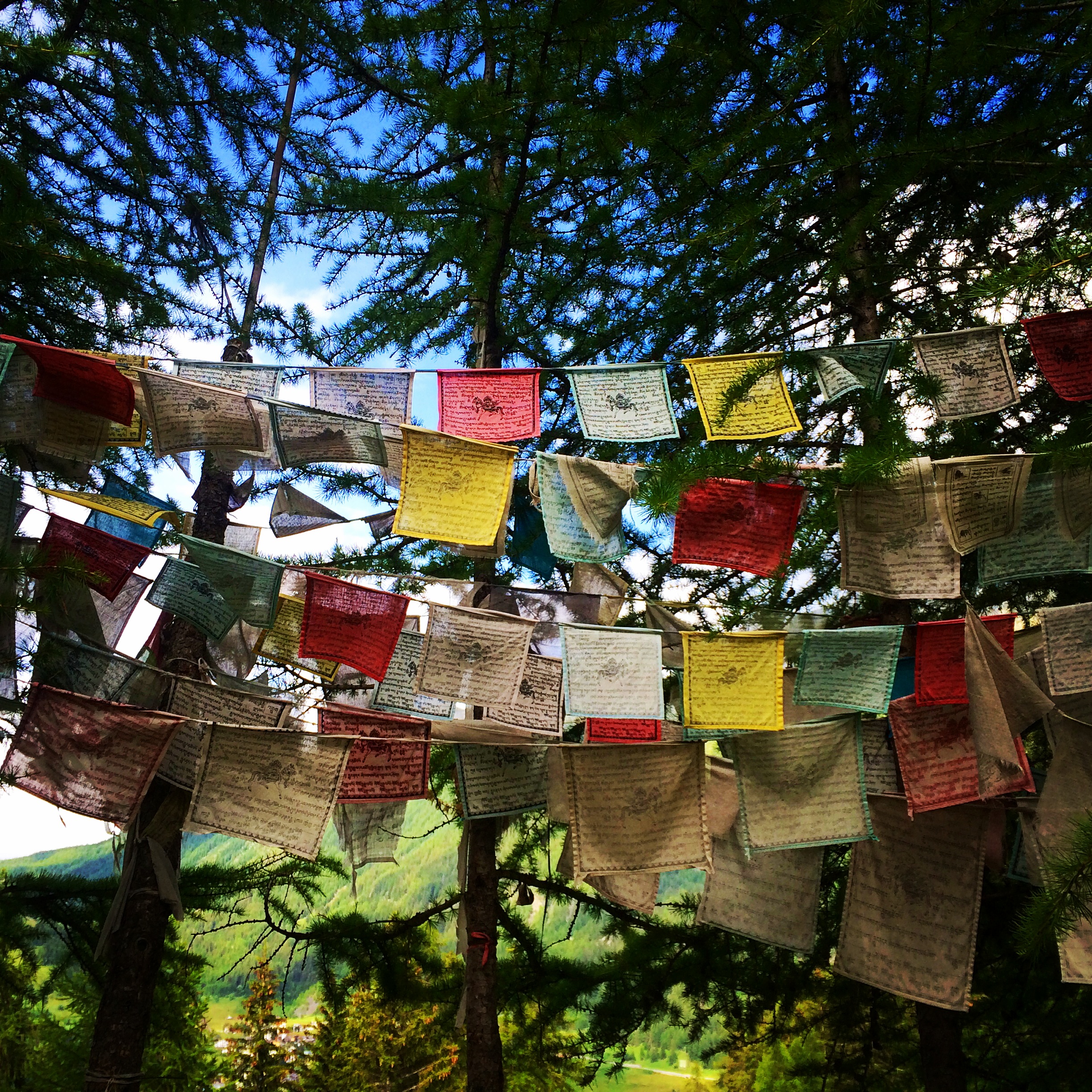 Peaceful prayer flags in the forest.